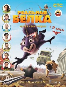 Реальная белка-2014